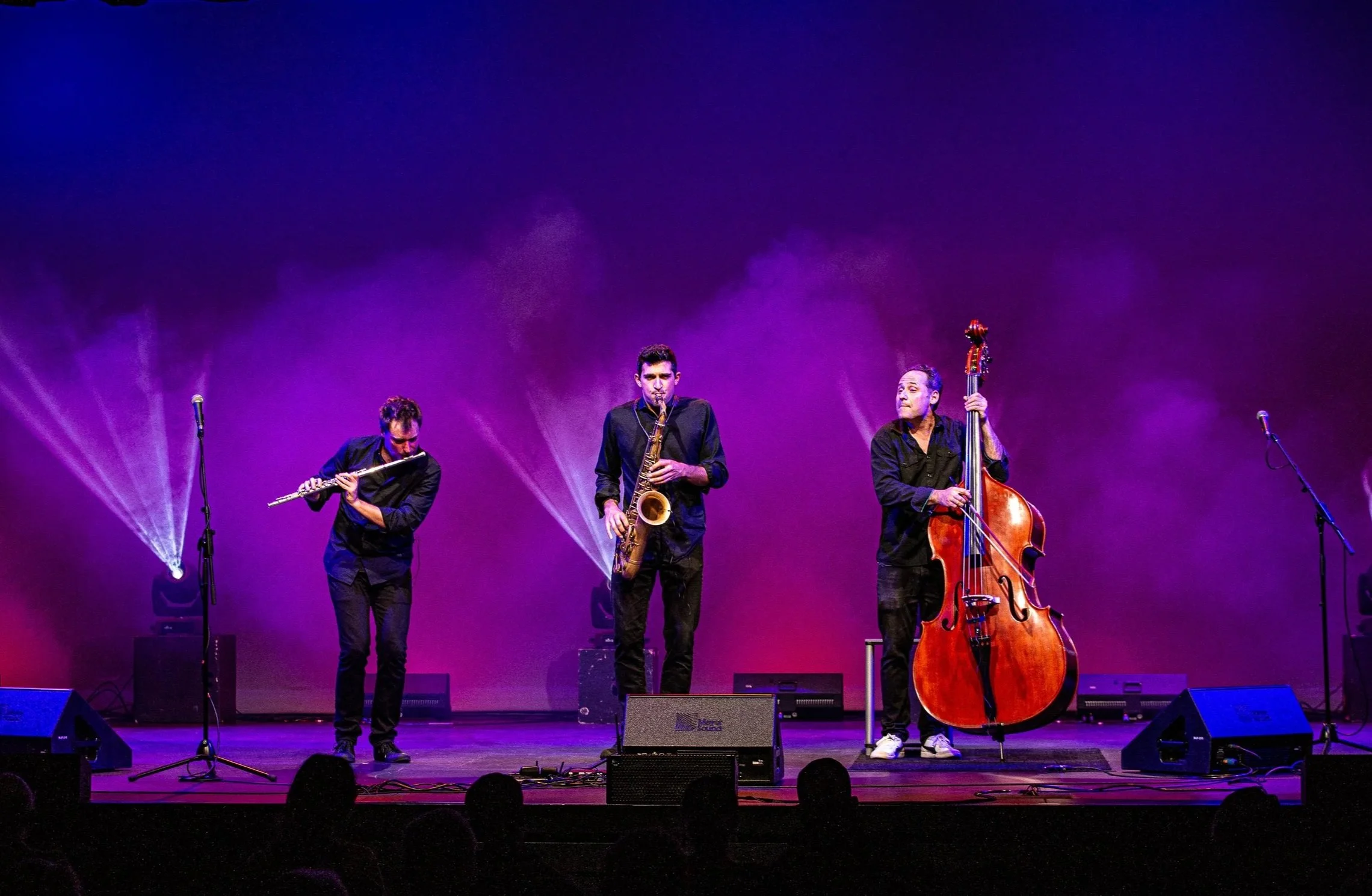 Classical Music Series — Midori & Friends